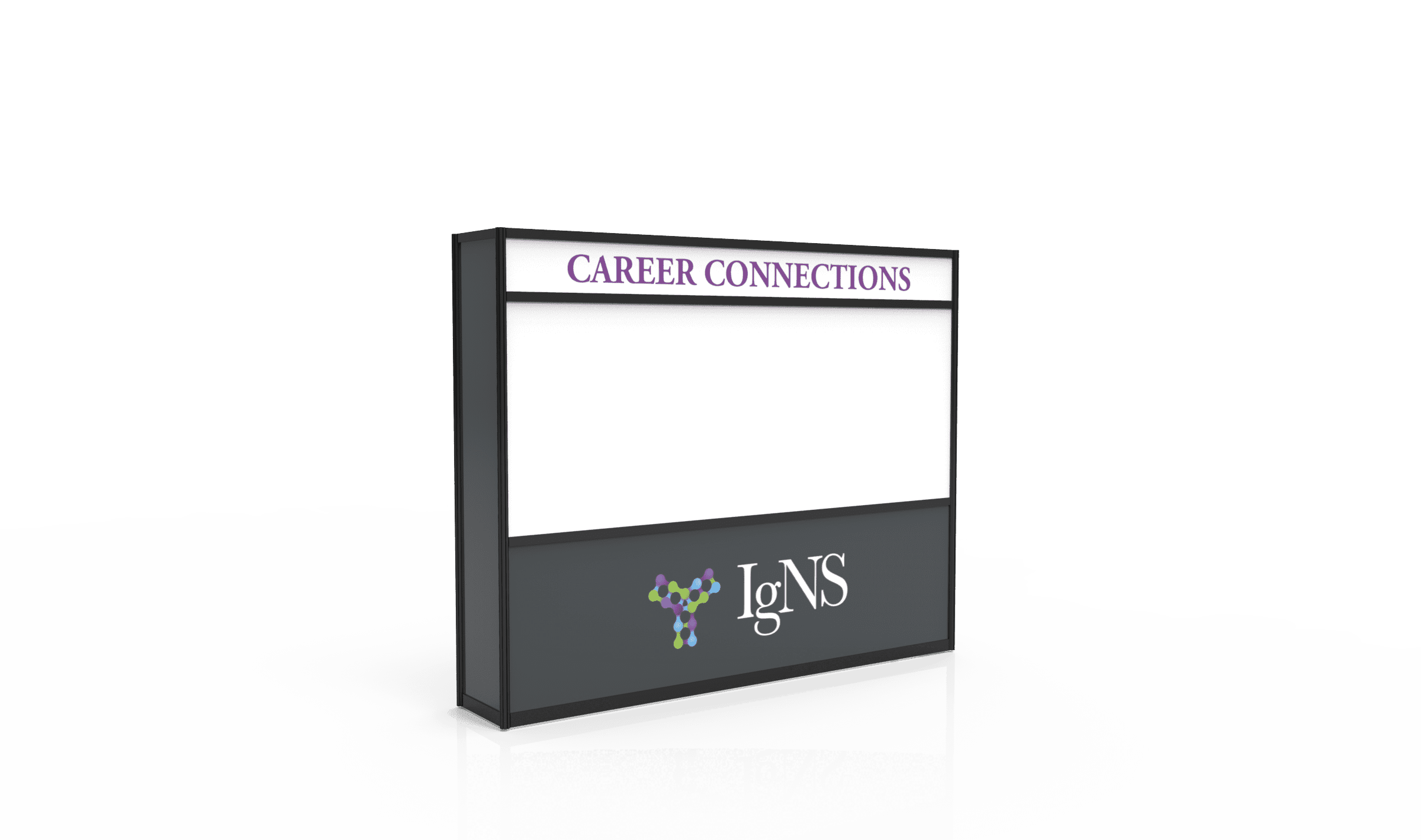 IgNS 2020 Career Connection Job Posting